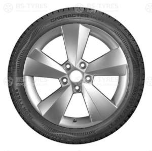 Ikon (Nokian Tyres) Character Snow 2 (Nordman RS2) 195/65 R15 95R